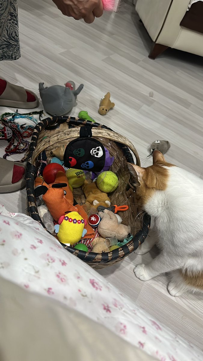 oyuncaklarım mı daha güzell
yoksa yanakımm mıı