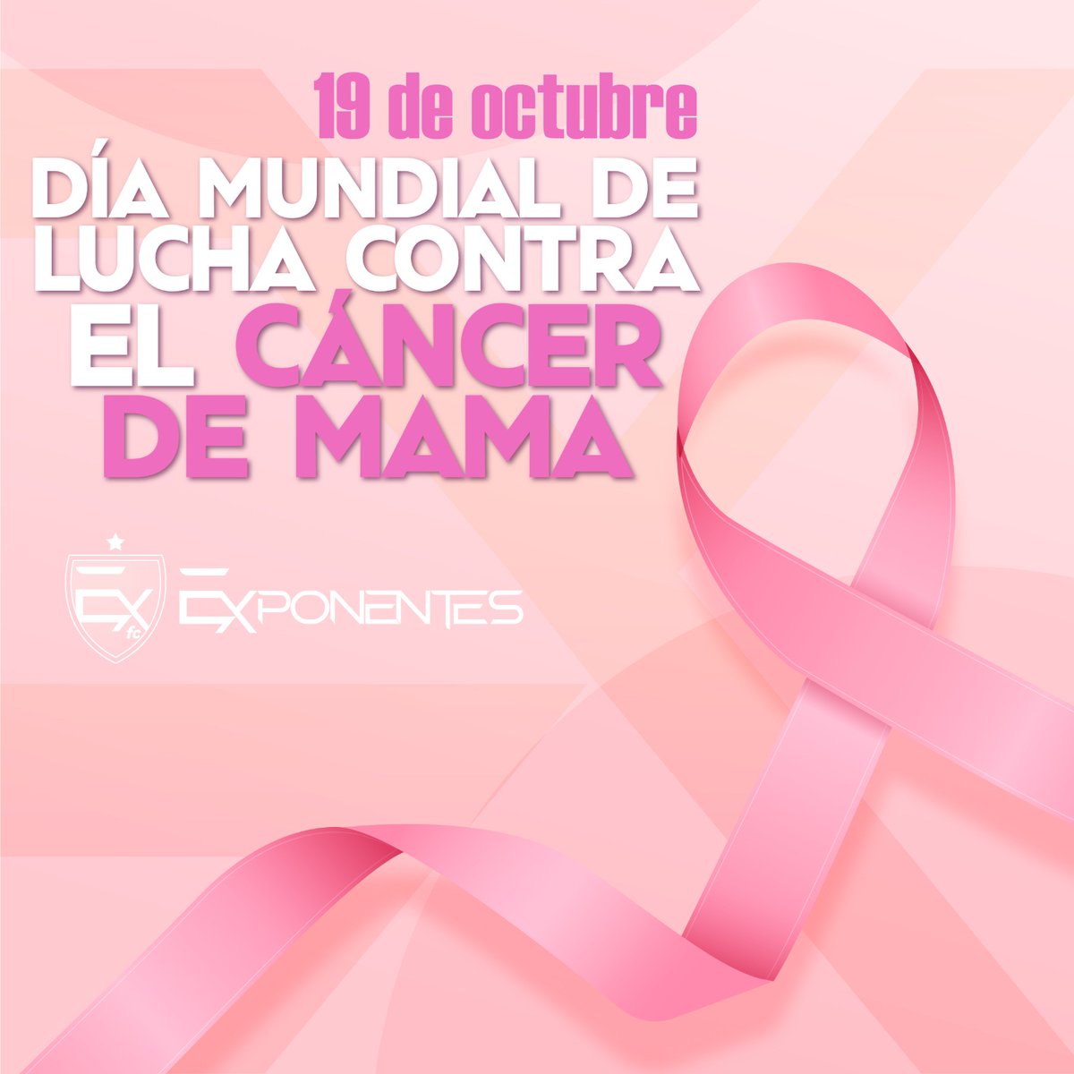 El cáncer de mama es el más común y de las principales cuasas de muerte de mujeres en América Latina. 

Por ello en Exponentes nos sumamos a la prevención y detección oportuna.

#DiaMundialContraElCancerDeMama