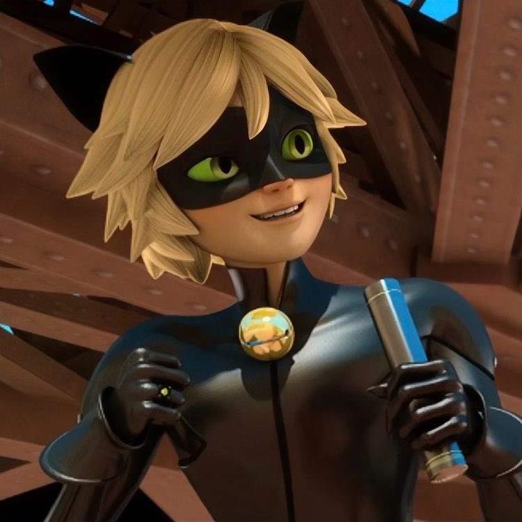 daily chat noir tweet media