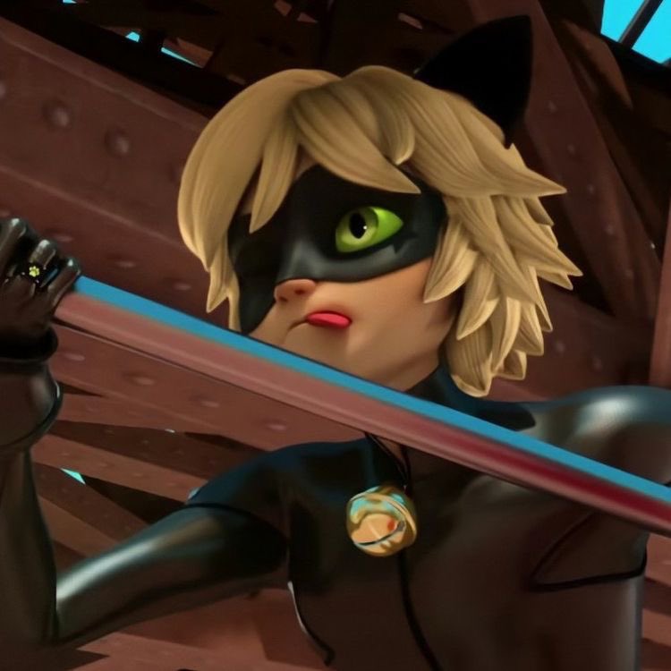 daily chat noir tweet media