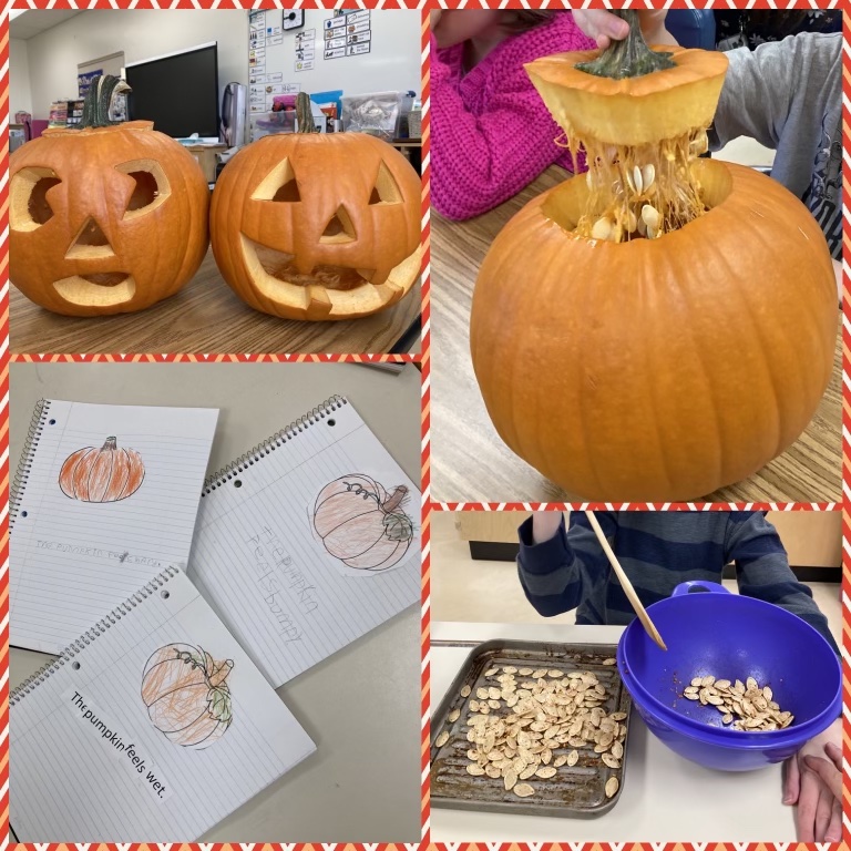 BPSHawksEES tweet media