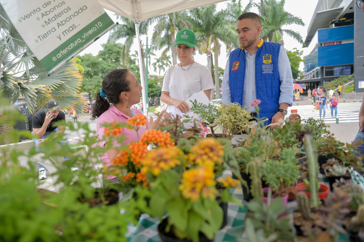 Gob_Risaralda's tweet photo. 🧑🏽‍🌾 Así vivimos nuestro #MercadoCampesino en la Plaza Cívica Ciudad Victoria. 

🥕Gracias por apoyar a los campesinos y productores risaraldenses que gracias a nuestra estrategia comercializan sus productos directamente y sin intermediarios.

💙 El campo es #SentimientoDeTodos https://t.co/Cr4HW9Akqs