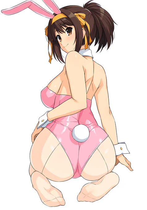 バニーハルヒさん 
