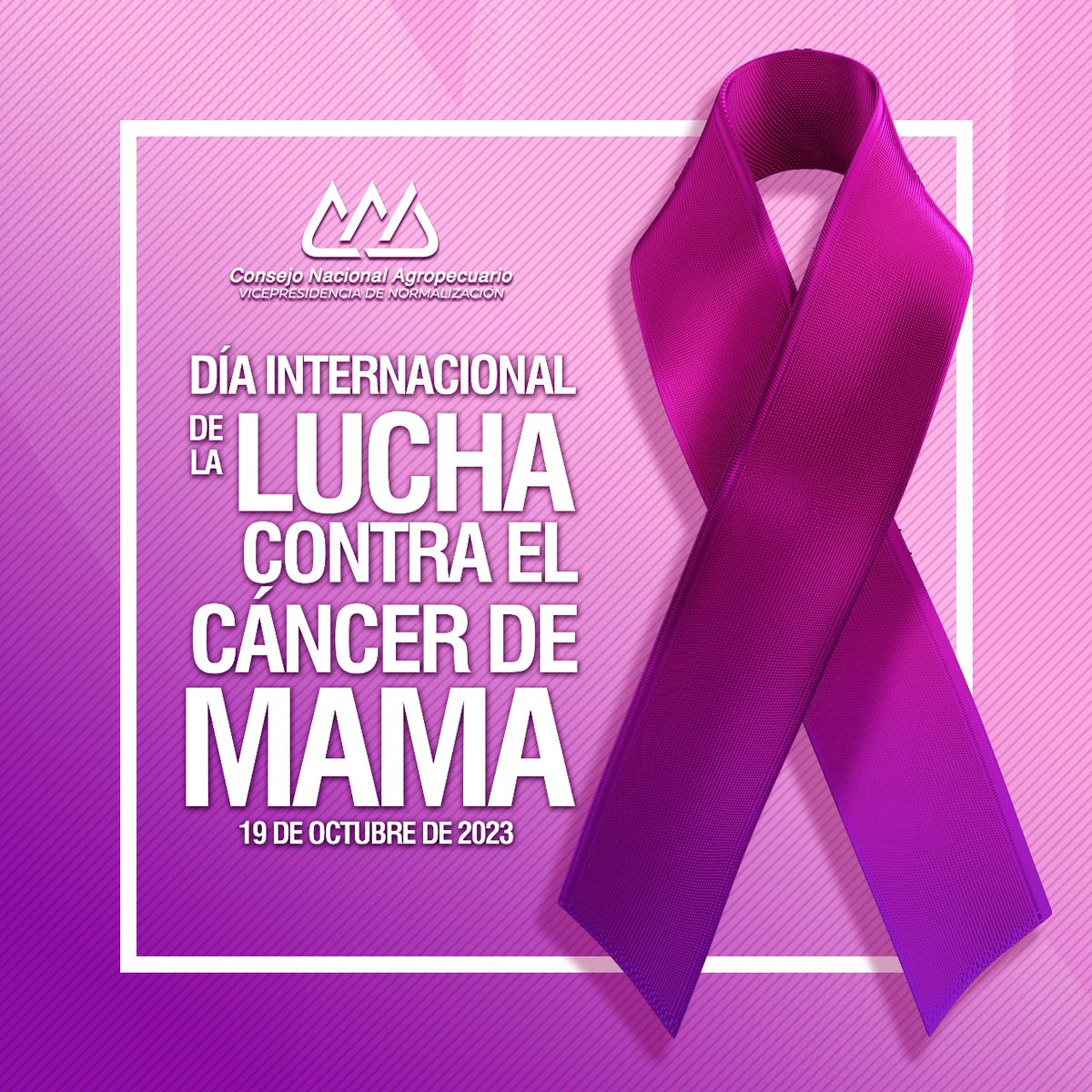 NORMASCNA's tweet photo. Es un día para abrazar la conciencia , el apoyo la solidaridad en la lucha contra el cáncer de mama.💕 https://t.co/sLY4b7EwyG