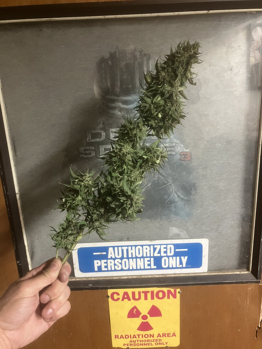 FieldButcher's tweet image. 