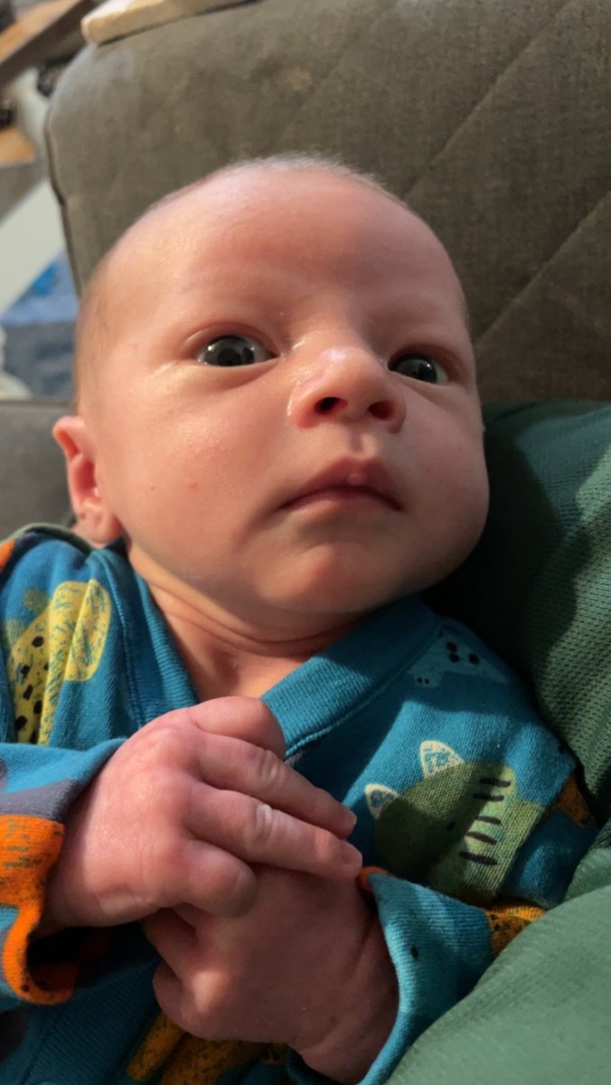 SamSayce's tweet photo. An baby https://t.co/Jo2vUNFwh3
