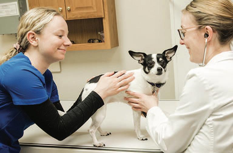 chatmeter's tweet image. CareVet knows how to put people and pets first. Learn how CareVet partnered with Chatmeter to boost productivity, increase brand awareness, and deepen customer relationships.
bit.ly/492LvD8