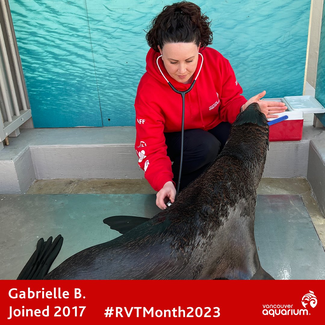 vanaqua's tweet photo. Itβs #RVTMonth in Canada and #RVTWeek in the US! Registered Veterinary Technologists (RVT) are a vitally important part of providing the highest standard of animal care at Vancouver Aquarium and the Vancouver Aquarium Marine Mammal Rescue Society. https://t.co/07LP1NEc1Y