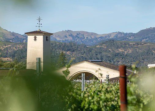 Collective Napa Valley tweet media