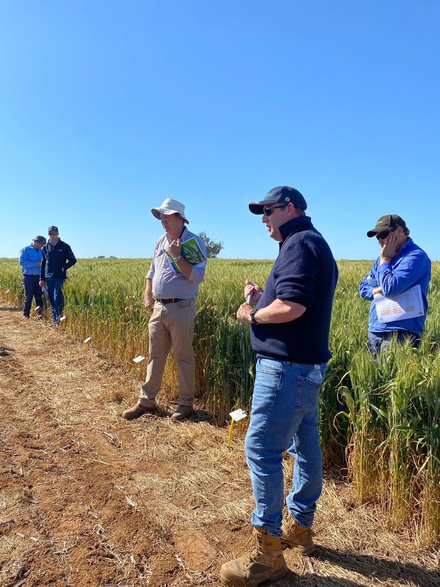 Riverine Plains tweet media