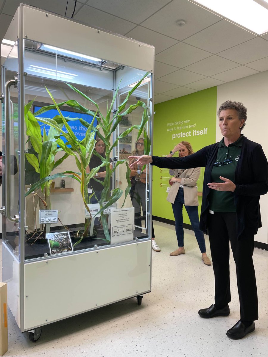 Rhea + Kaiser tweet media