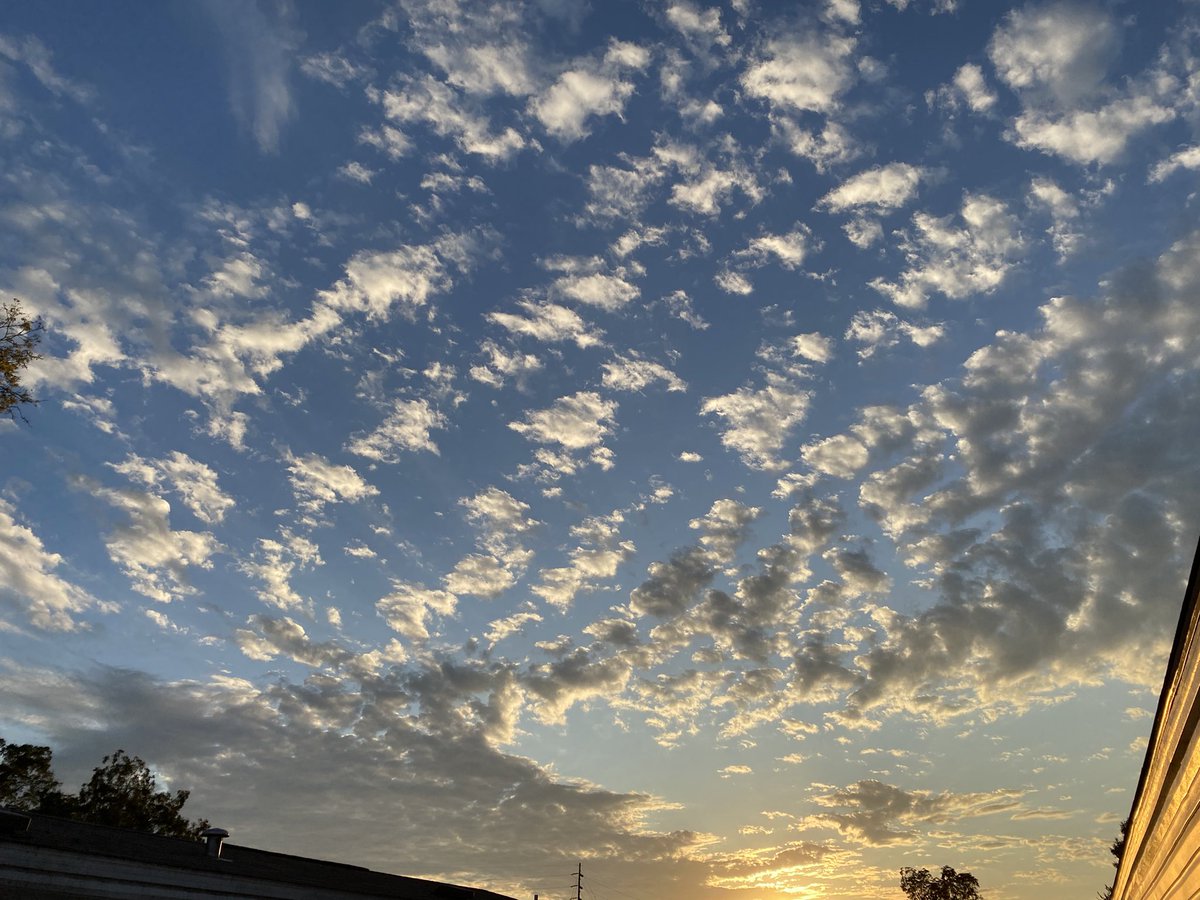 Emily Rose tweet media