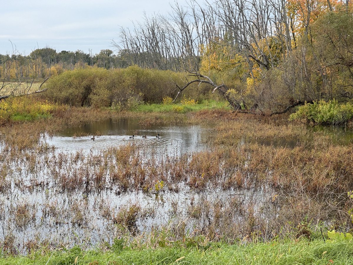 Kankakee Fish and Wildlife Refuge