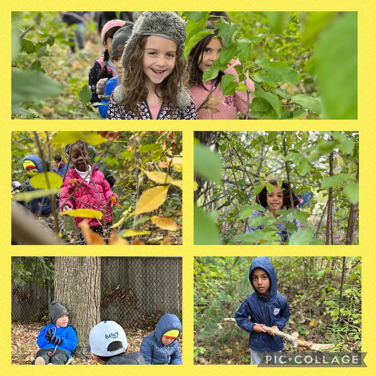 #TakeMeOutsideDay Day3 of exploring our community, today we explored our mini forest. <a href="/kbkinders146/">@kbkinders</a>