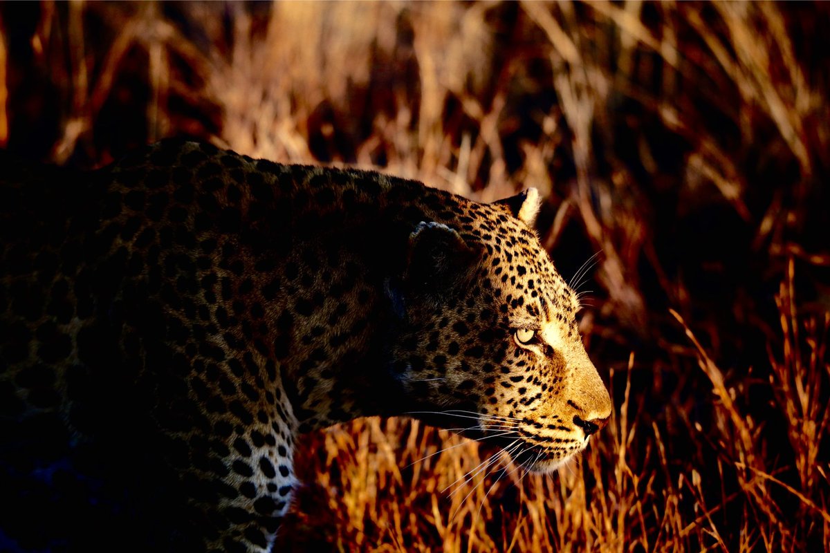 2VividPhoto tweet media