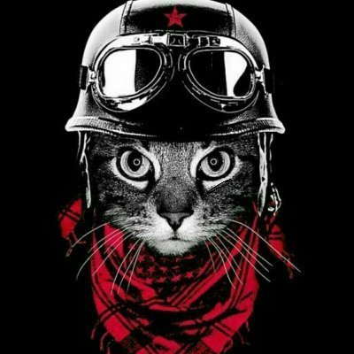 Turbevill122's tweet photo. artists, and other influential members of this planet. https://t.co/nURjvCsZgP