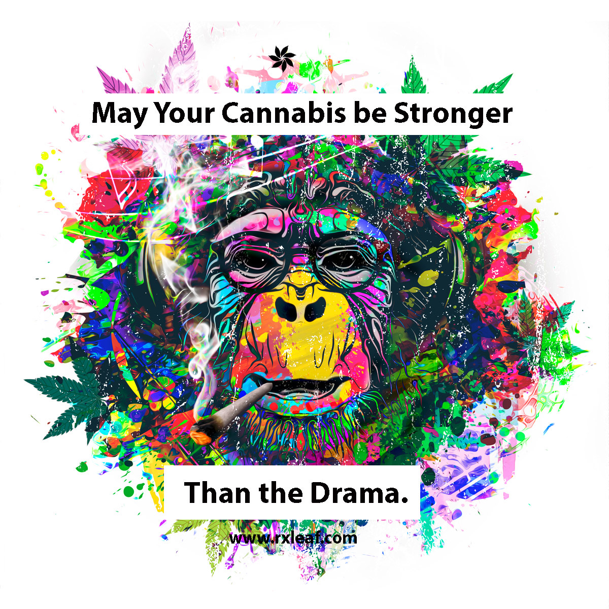 RxLeafMD's tweet photo. Always. #peace https://t.co/LbR3lSOPPg