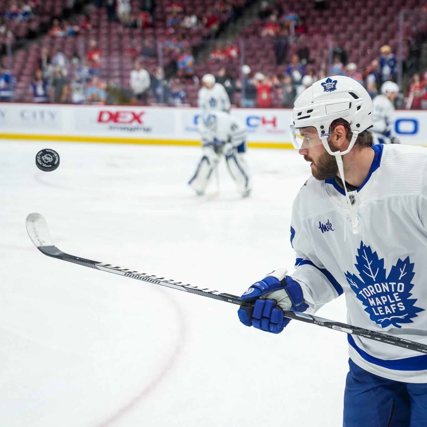 X 上的Toronto Maple Leafs：「The correct answer for today's