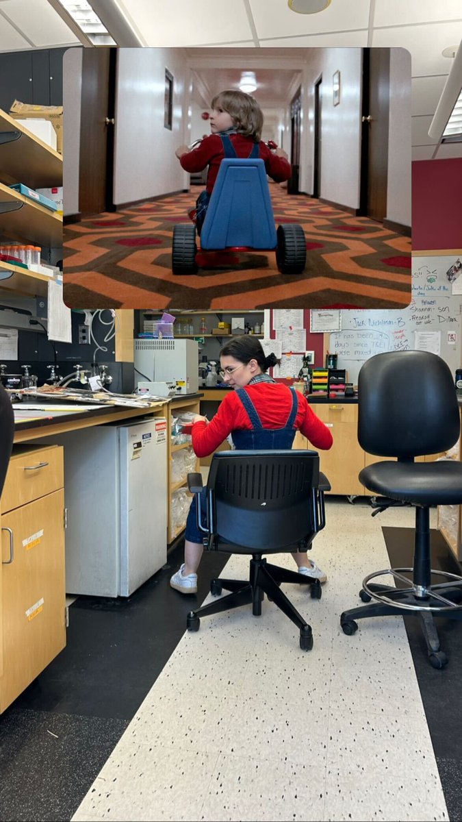Dr. Eleanore O'Neil tweet media