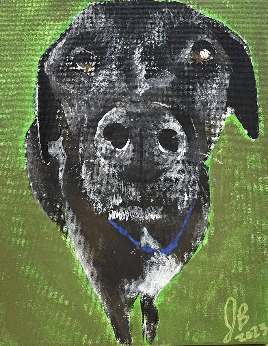 Look at the awesome paintings from the adult pet portrait acrylic class through <a href="/GC_ContinuingEd/">Gates Chili Cont Ed.</a> 🎨 I love that I had repeat students who brought their neighbors to join in on the fun!