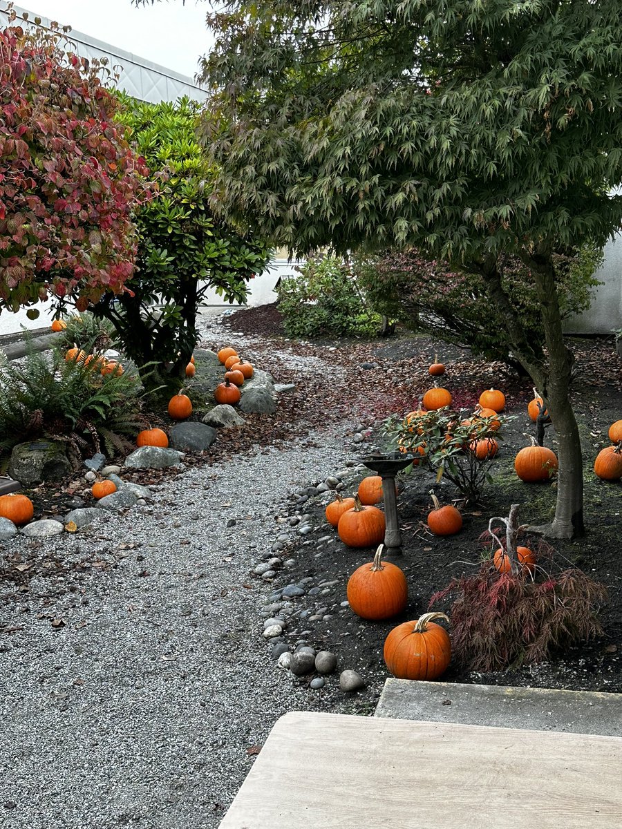 MrsNasio tweet media