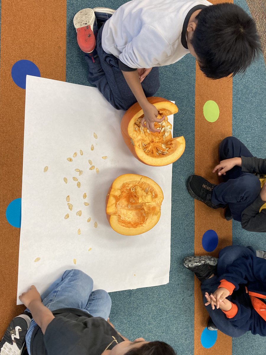 MrsRosa_class's tweet photo. Pumpkin investigation @BBS_Learns was so exciting for my little friends @SBISD @SbisdPreK https://t.co/ei6sb3yWTw