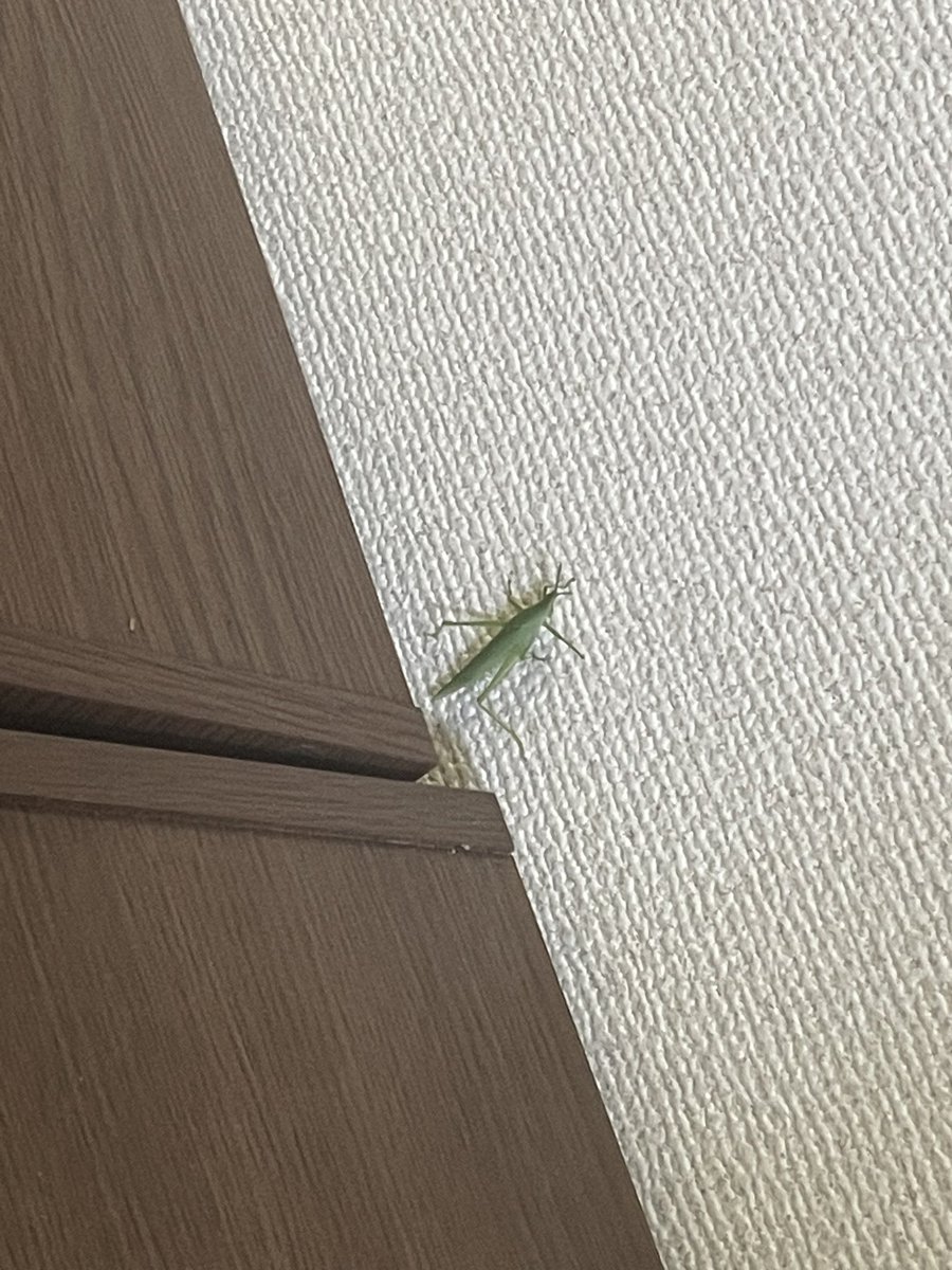 川辺康子（NPO法人西成チャイルド・ケア・センター） tweet media