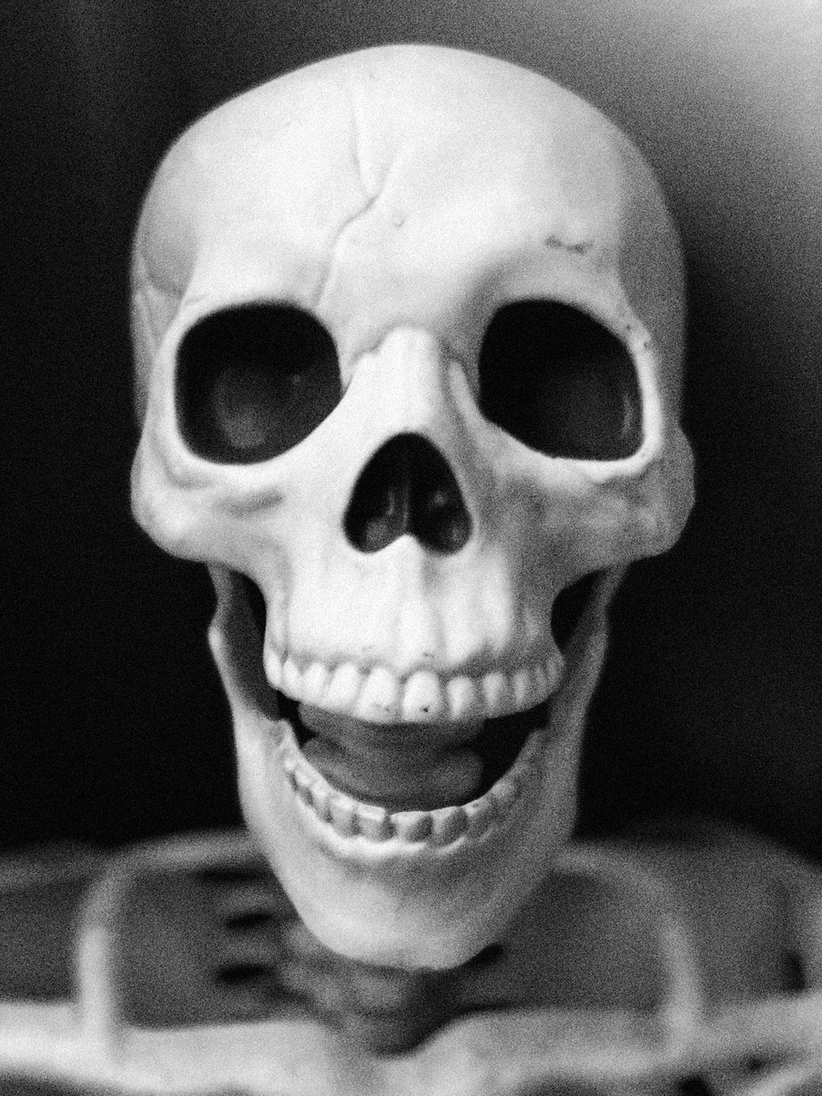 zero_style's tweet image. 💀