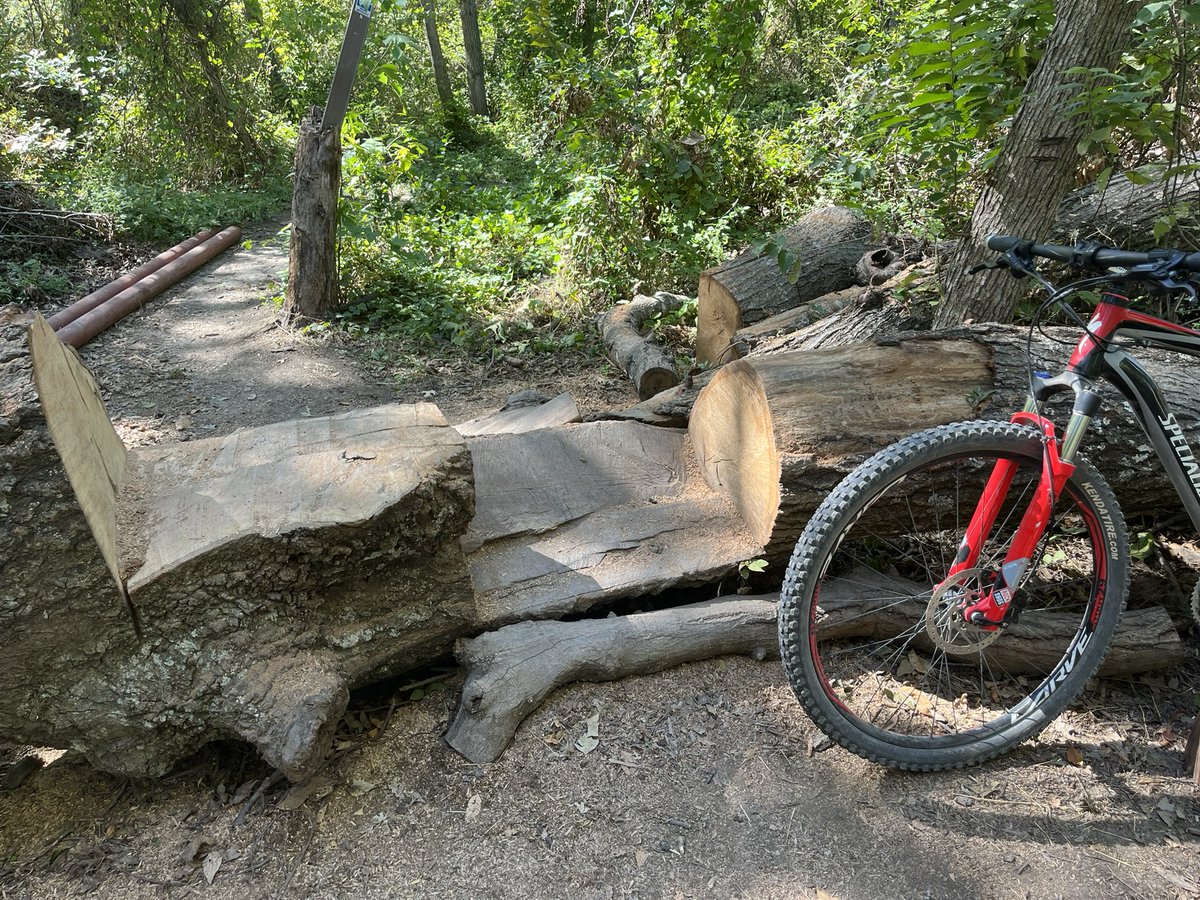 MarksUpdates's tweet image. My playground this morning: 
Erwin Park off-road trail on MTB 🚴‍♂️😎
 
1. Welcome Gate 🚴‍♂️
2. Bike Park - bumps and dipsy doos. Woo hoo! 🎉
3. The Drop and Berm - 20 foot drop at 45 degrees. Drop in and shred the berm! 🔥
4. The Log Notch 🪵 - front wheel hop up and pivot over.