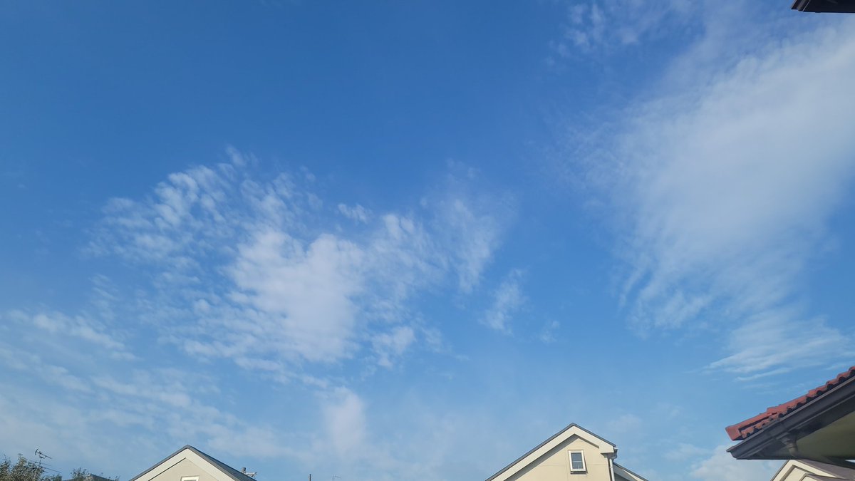 kamemaruboy21's tweet photo. @satokoonoe 玄関前の掃除をする前に、庭で見上げた、今朝の #イマソラ のラスト👀📷️✨を😏
#おのえ765
#おヒツ
#fmco https://t.co/q1wpfDQ067