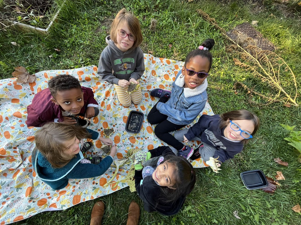 #EnvironmentalClub has been busy harvesting seeds to plant in the spring! <a href="/ParksideES/">Parkside Elementary</a> #PennDelcoProud #FutureReady