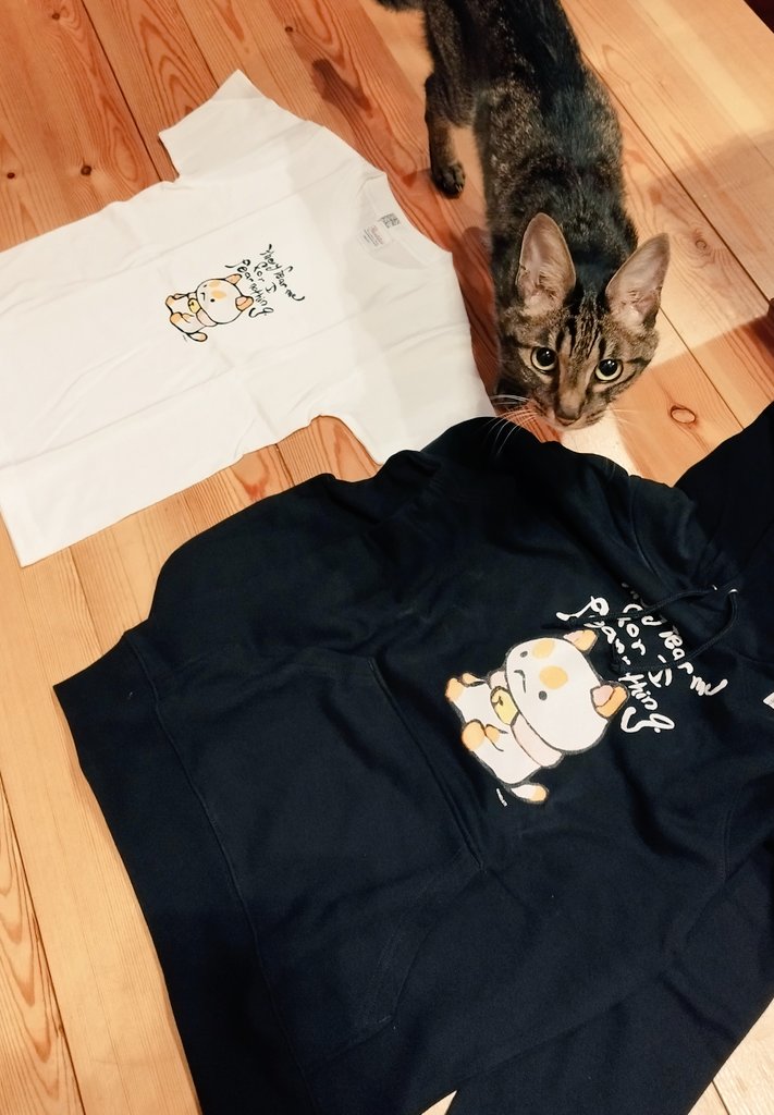 ビーパピのTシャツとパーカーを娘とおそろいで購入！大きくプリントされたパピーキャットかわいすぎる〜〜🥰　#ビーパピ