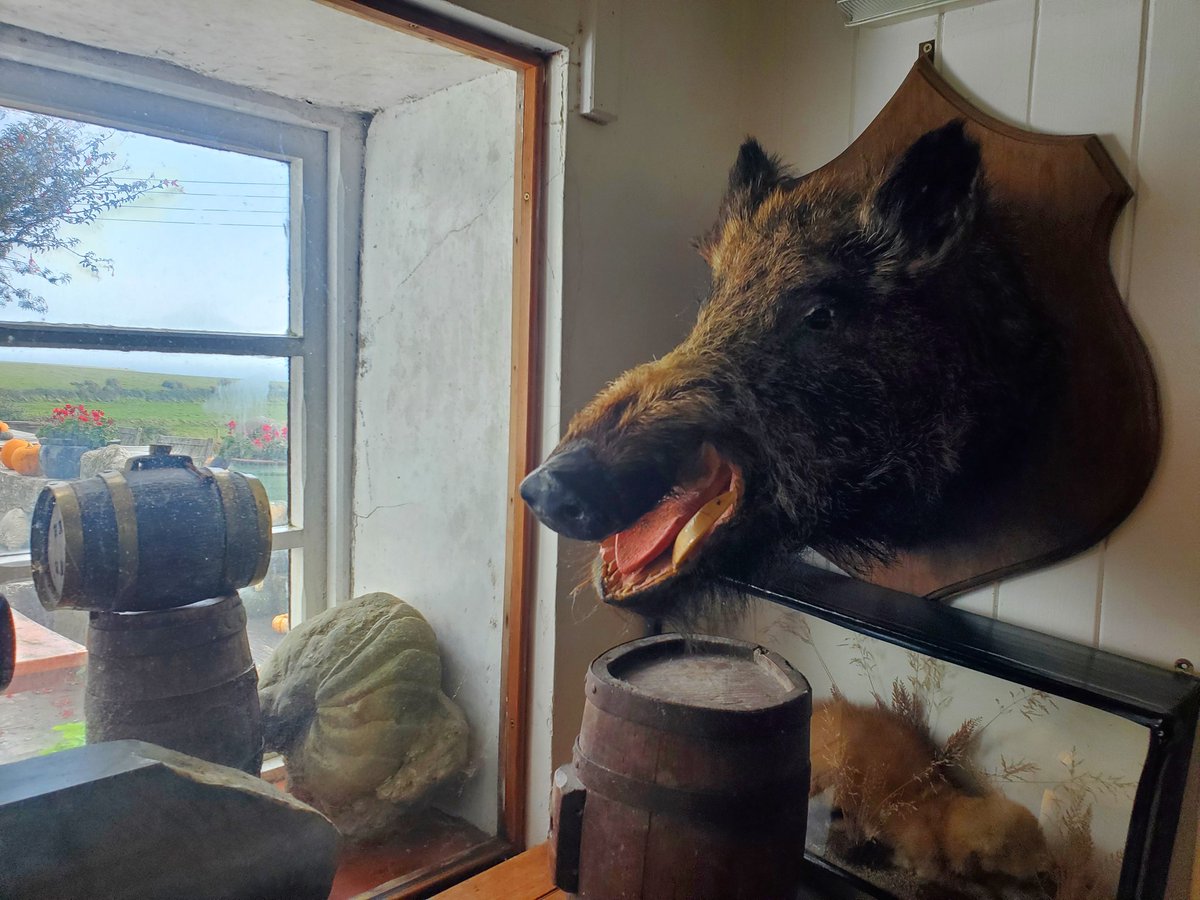 carolkennison's tweet image. Coastal walk to Winspit today followed by lunch at a favourite pub, the fantastic Square and Compass, Worth Matravers #favouritepubs