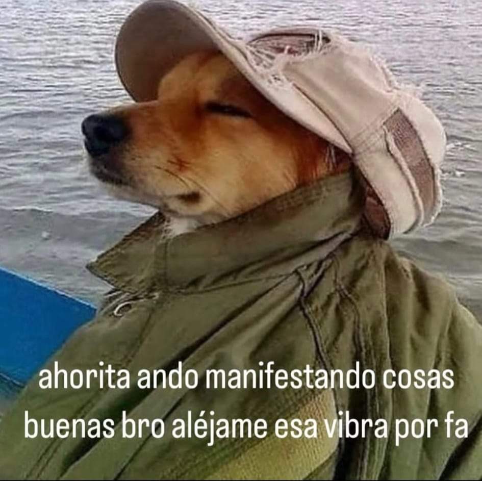 Nasty Poet (@nxstypxet) on Twitter photo 