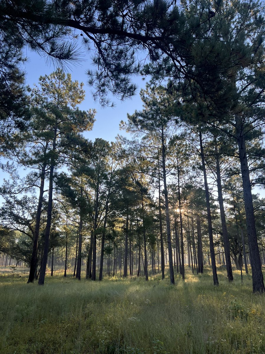 Dr. Kate Boersma (she/her) (@kateboersma) on Twitter photo Scenes from another fabulous <a href="/DryRiversRCN/">DryRiversRCN</a> retreat - this time <a href="/thejonesctr/">The Jones Center at Ichauway</a> in GA. So good to do science w/ these folks again!
.
The Flint River wasn’t bad either! Scenes from another fabulous <a href="/DryRiversRCN/">DryRiversRCN</a> retreat - this time <a href="/thejonesctr/">The Jones Center at Ichauway</a> in GA. So good to do science w/ these folks again!
.
The Flint River wasn’t bad either!