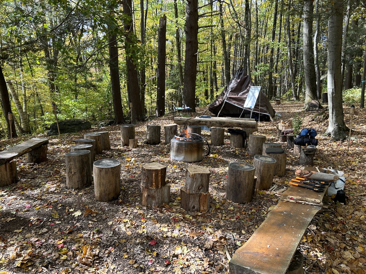TreePoseExplor's tweet image. had the fire circle to myself today. except for the visible spirits at the outer circumference. 
#KSMOL
#ancestors
#firespirits
@KripaluCenter