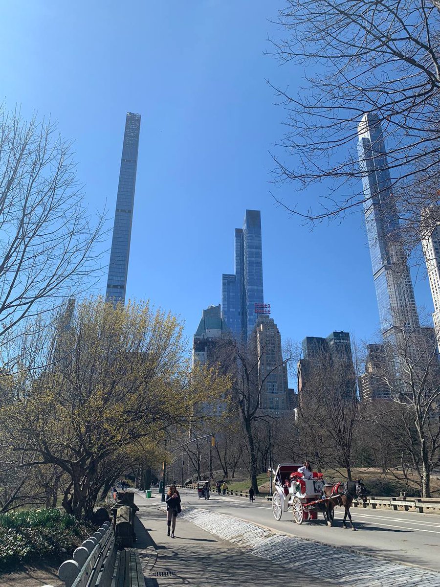 esbcconsulting's tweet image. Every fall is for a magnificent rise.