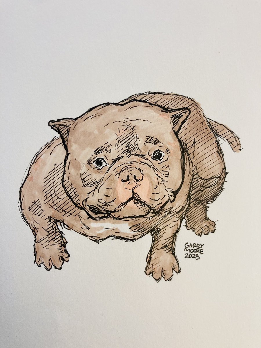 garrymoore234's tweet photo. #inktober #inktober2023 #inktober2023day19 https://t.co/7iXwwf6anq