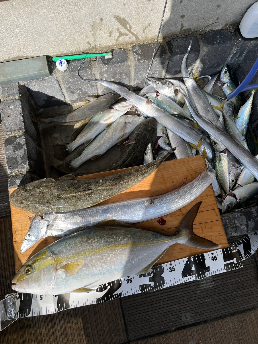 海の恵みに感謝です