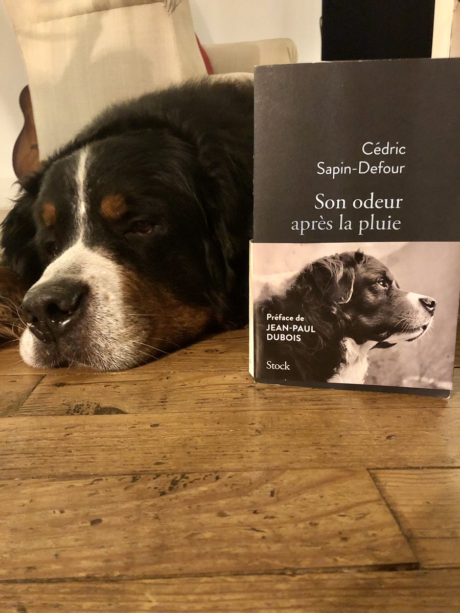 « Je vous le conseille, visiblement mon maître a aimé, mais qu’est-ce qu’il a pu hoqueter » - Lumio, Bouvier Bernois 
Merci Cédric Sapin-Defour
#SonOdeurApresLaPluie