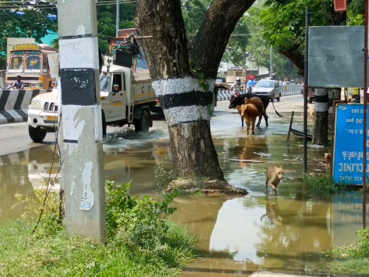 FactVellore's tweet photo. @vellorecorp @CMOTamilnadu 
Sir,
        Drainage water logging into our office premises and in and around the area from the past three days at muthamizh Nagar, Katpadi. We are suffering a lot. Kindly request you to take necessary action, please!. https://t.co/KhT8SSr5kv