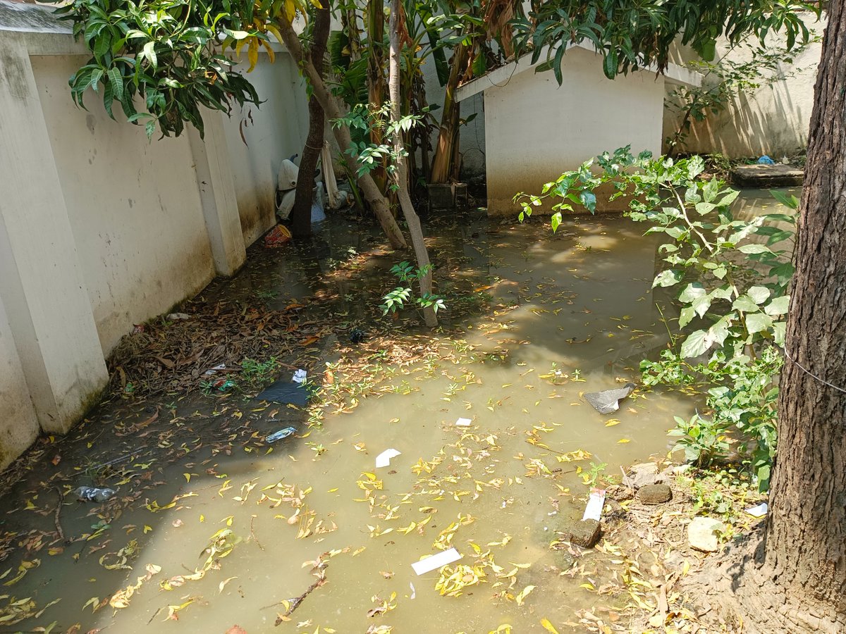 FactVellore's tweet photo. @vellorecorp @CMOTamilnadu 
Sir,
        Drainage water logging into our office premises and in and around the area from the past three days at muthamizh Nagar, Katpadi. We are suffering a lot. Kindly request you to take necessary action, please!. https://t.co/KhT8SSr5kv