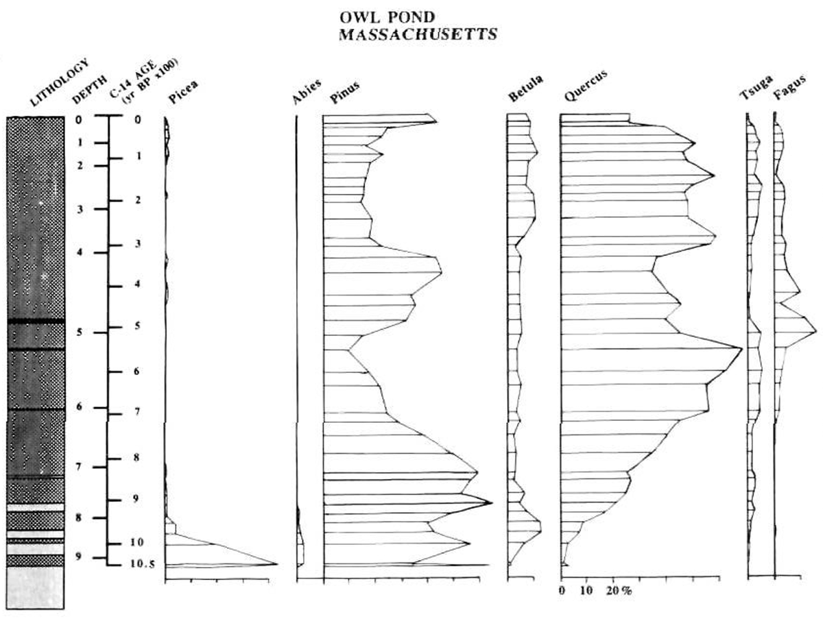 Bryan Shuman | Promote democracy, condemn violence tweet media