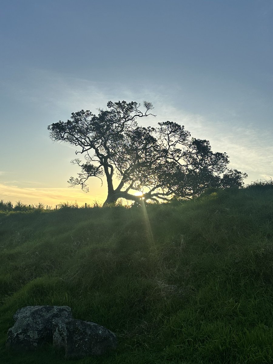 jingmappymye's tweet photo. I went for a walk yesterday till sunset and this are the pics I got. #stepsgoal https://t.co/y07fuFIyY6