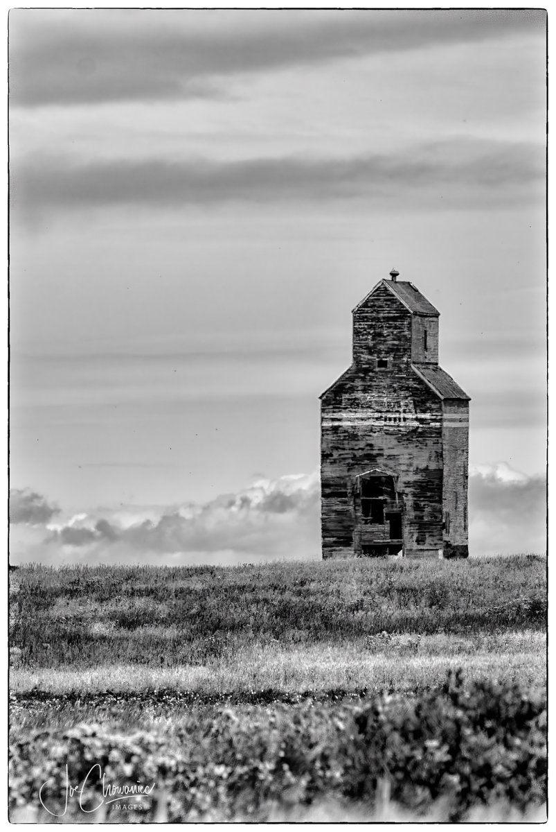 This grain elevator came down a few years ago.  Hard to believe there were 5,000 in Alberta back in the 1950's.  #abandoned #alberta #history #rural #explore #backroads #farm #grainelevator #elevator