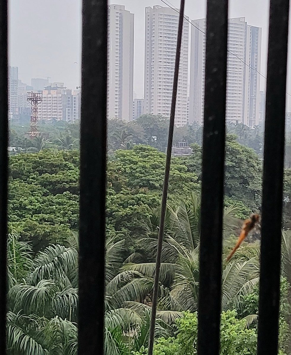 SANDEEPmohan_'s tweet image. चिंतन कर जीवन ढंग ढूंढ नई
उठ जाग मुसाफिर भोर भई

The magic of early mornings !

#earlymorning 
#dawn #magichour