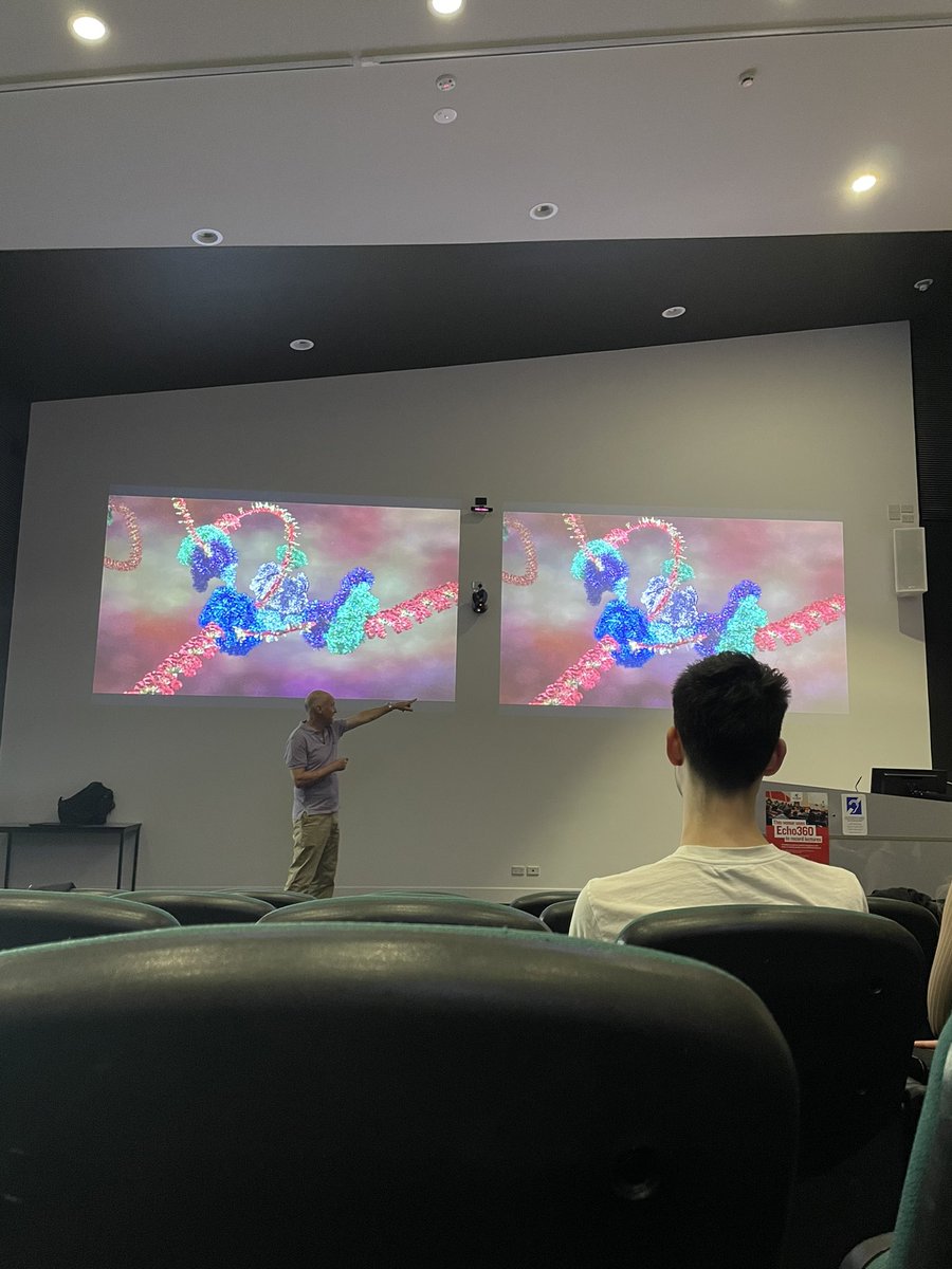 Bec Brown tweet media