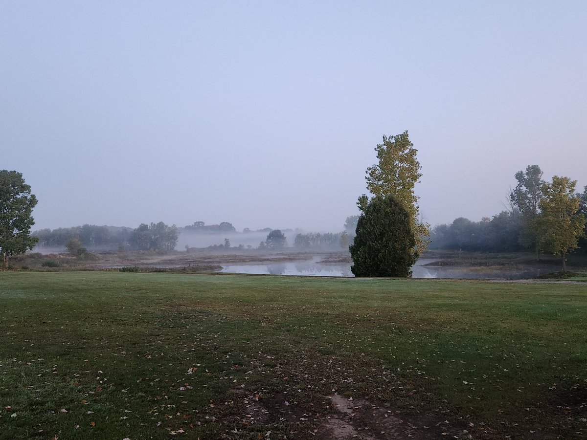 Early morning at my parents farm...