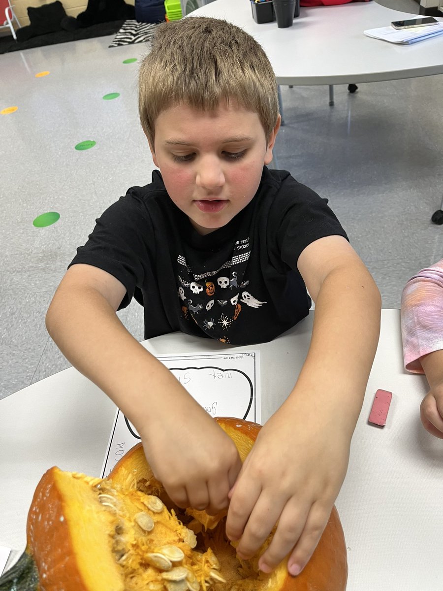 The best way to describe the ins &amp; outs of a pumpkin 🎃 #OakFlatProud #BSSDProud