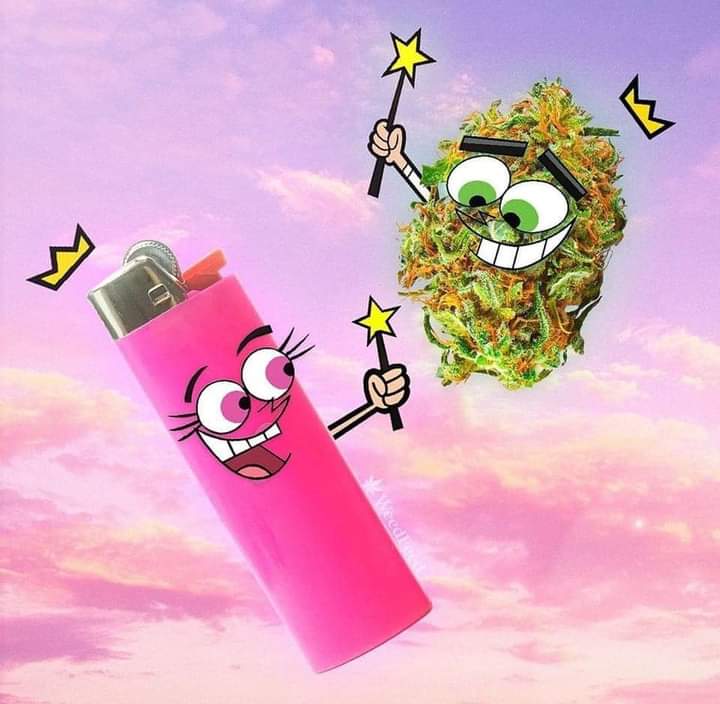 Los padrinos mágicos 🪄